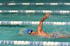 Swimming vs Babson  Wheaton College Swimming vs Babson College. - Photo By: KEITH NORDSTROM : Wheaton, Swimming, Babson